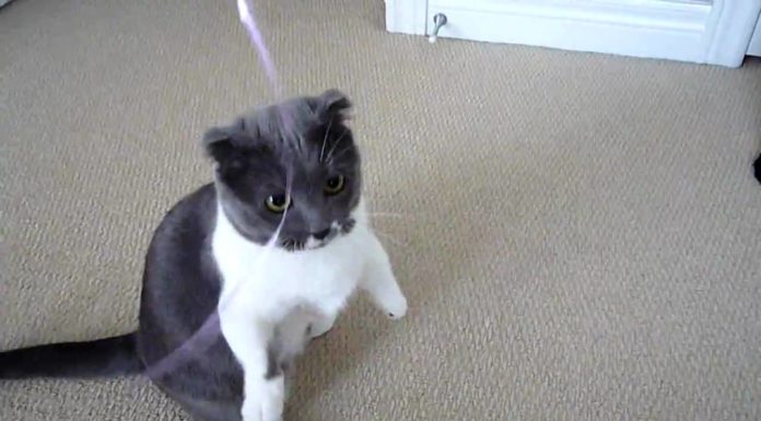 Munchie… il dopo compleanno