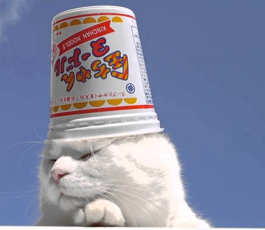 Che bel cappellino nuovo