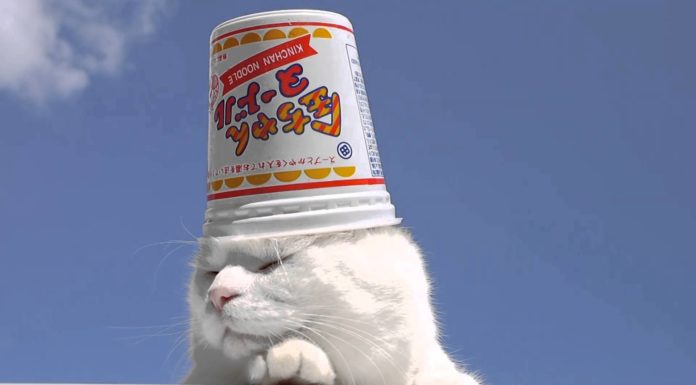 Che bel cappellino nuovo