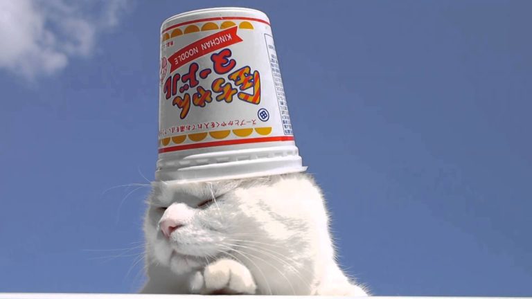 Che bel cappellino nuovo