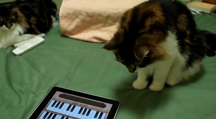 Suoniamo il piano con l’iPad