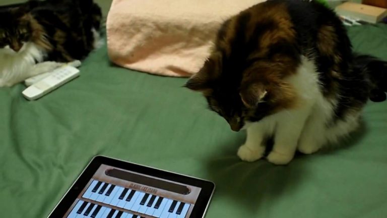 Suoniamo il piano con l’iPad