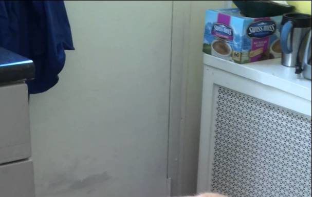 Gatto mangia a tavola