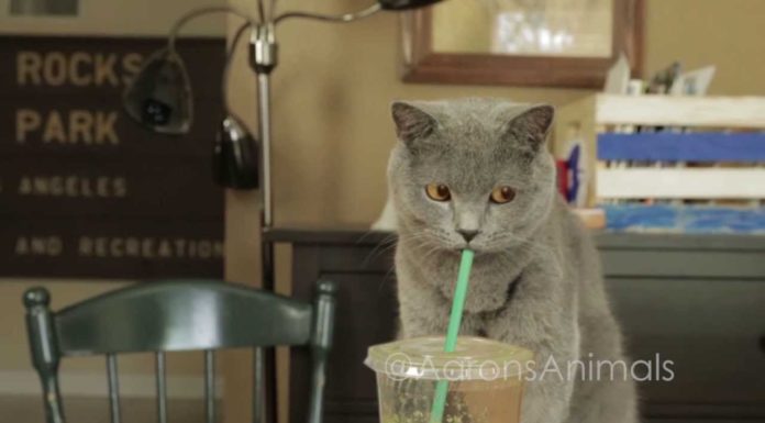 La “giornata tipo” di Michael