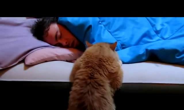 Io ti sto “vicino vicino”