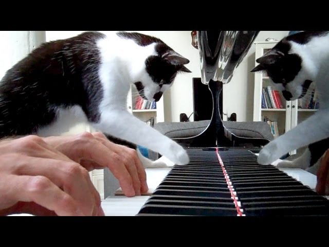 Duetto al piano
