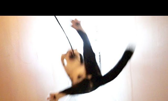 Codi e le sue acrobazie