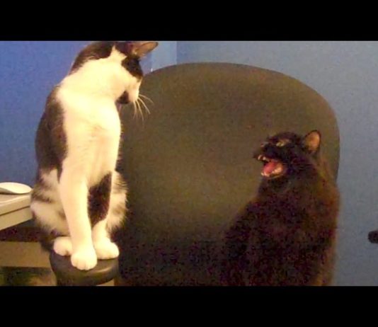 Il segreto per una relazione di successo