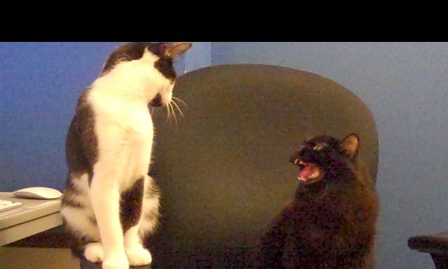 Il segreto per una relazione di successo