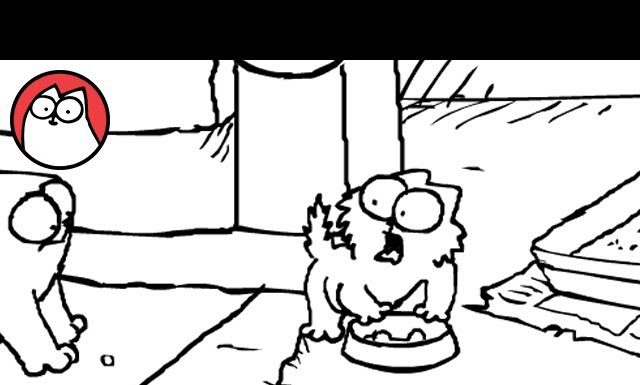 Simon’s cat – Doppio problema
