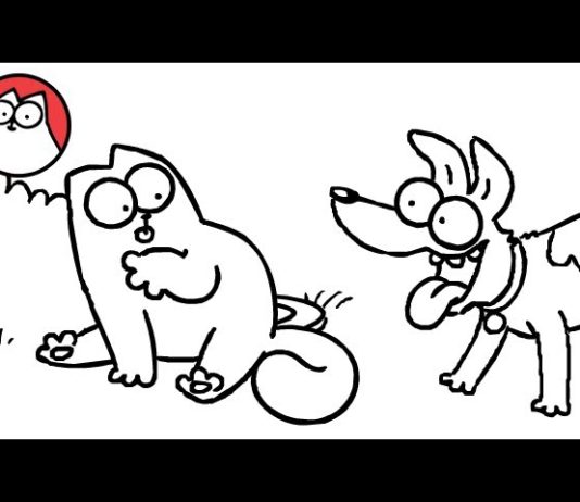 Simon’s cat – Gatto gioca con cane