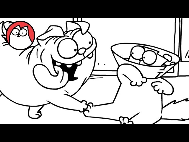 Collare elisabettiano – i suggerimenti di Simon’s cat