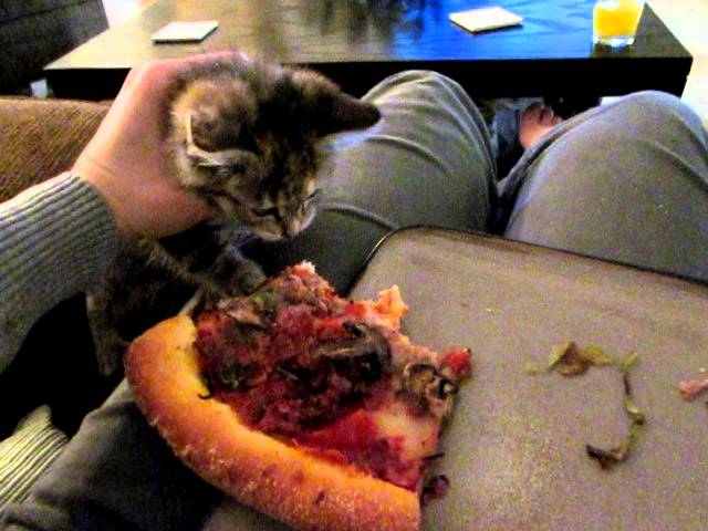 Voglio la pizza!
