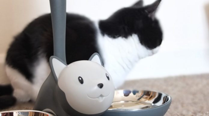 Ai gatti piace il design italiano di Alessi Tigrito Alessi