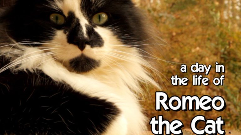 La dura vita di Romeo