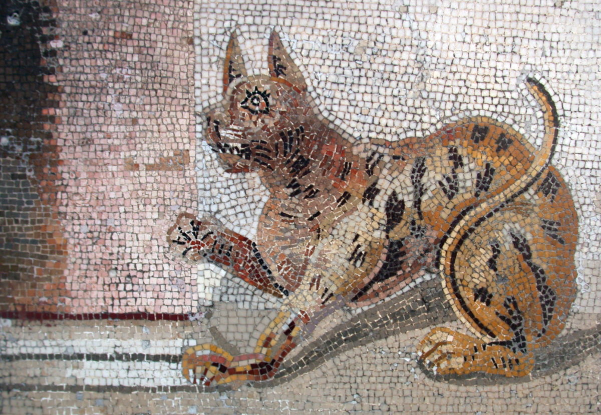 Mosaico gatto pompeiano