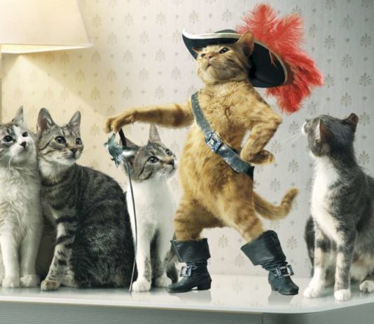 scrisse il gatto con gli stivali