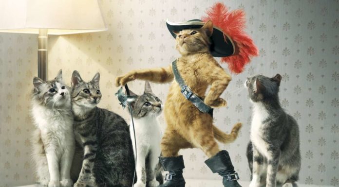 Scrisse Il gatto con gli stivali: Google celebra Perrault scrisse il gatto con gli stivali