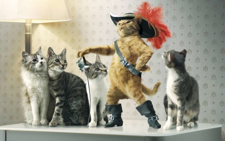 scrisse il gatto con gli stivali