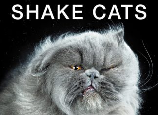 Shake Cats