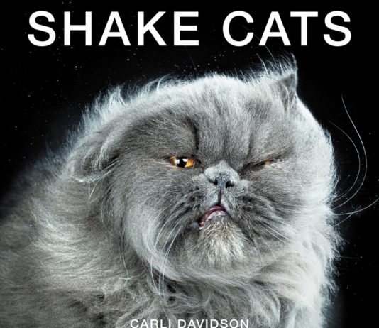 Shake Cats