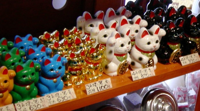 Il colore del manto Colore del manto