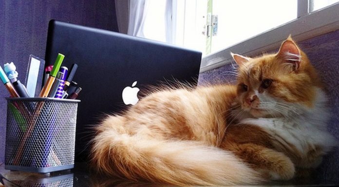 Cambiamenti? No grazie