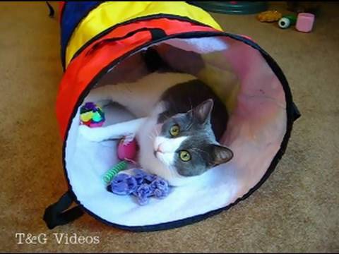 Il tunnel del divertimento