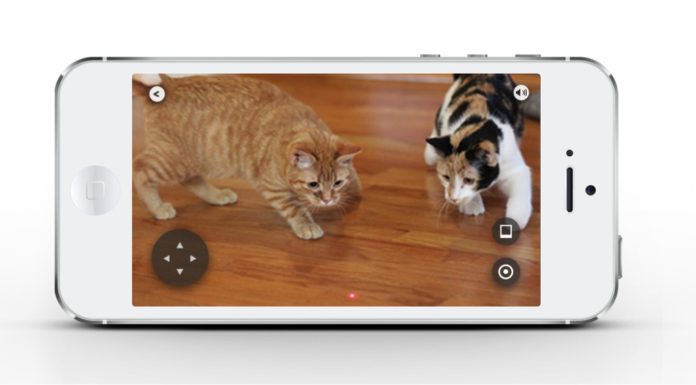 CES 2016: la tecnologia la servizio dei gatti Gatti al CES 2016