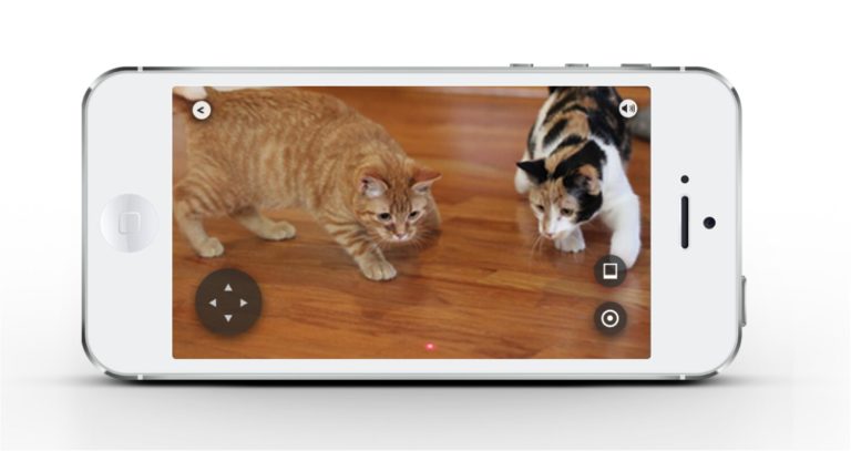Gatti al CES 2016