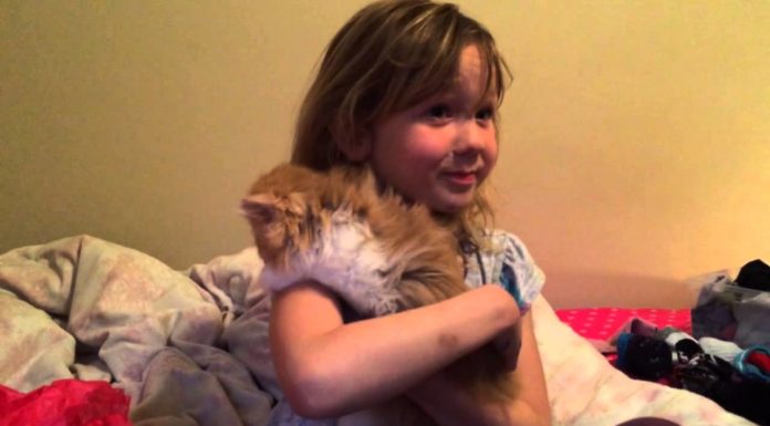 Buon compleanno, Brooklyn