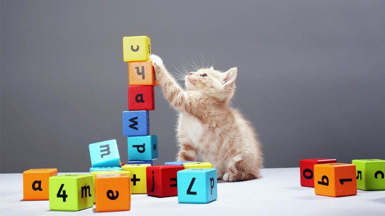 Giochiamo con i blocchi