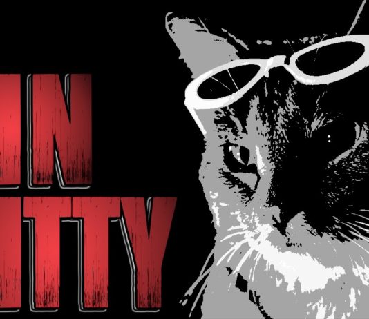 Sin Kitty – quando il gatto odia il fidanzato della sua umana