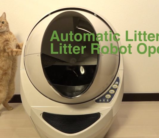La lettiera che si pulisce da sola