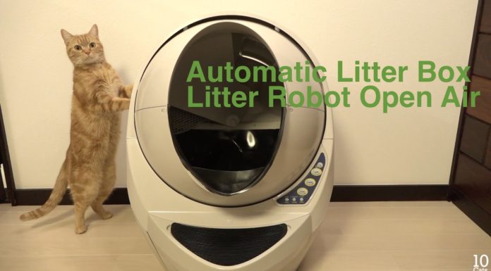 La lettiera che si pulisce da sola