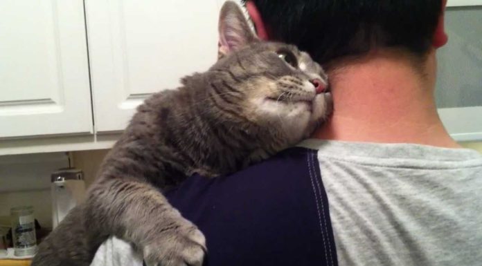 Ophie ama molto il suo umano