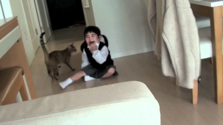 Gatti e bambini
