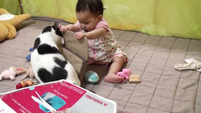 Gatto e bambina