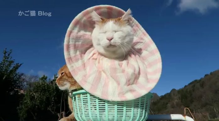 Il sole è tutto nostro