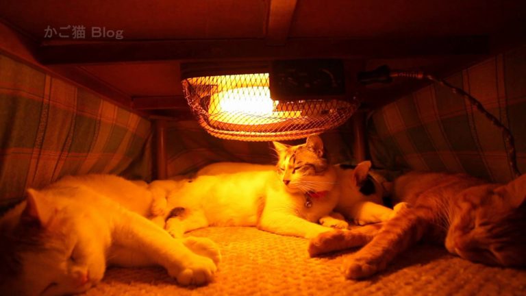 Tutti al caldo