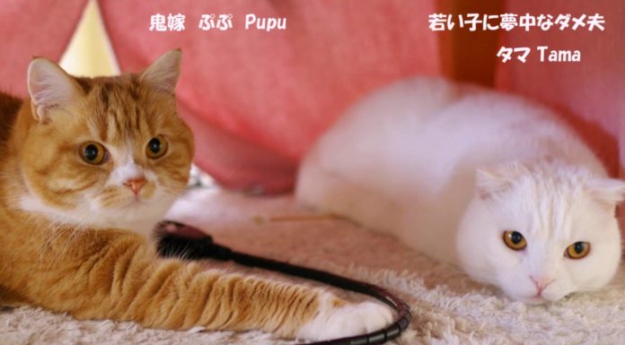 Non voglio giocare con te!