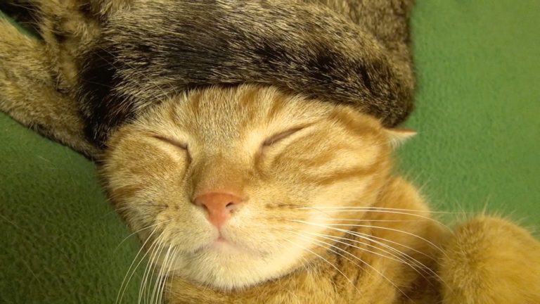 Un originale cappello