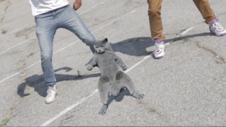 Gatto rapper