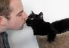 Come baci il tuo gatto?