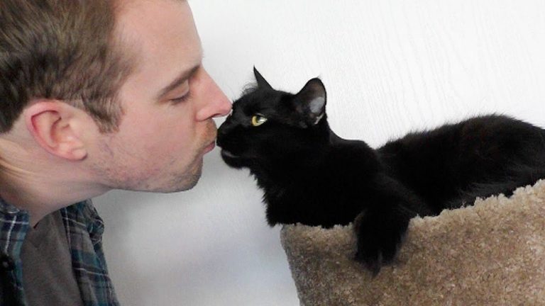 Come baci il tuo gatto?