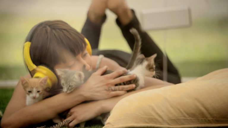 Kitten Therapy: la miglior cura contro lo stress