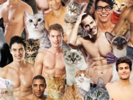 Hot Dudes with kittens