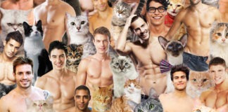Hot Dudes with kittens