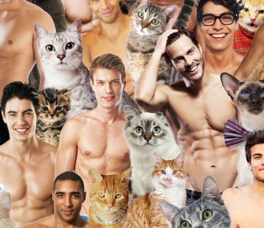 Hot Dudes with kittens