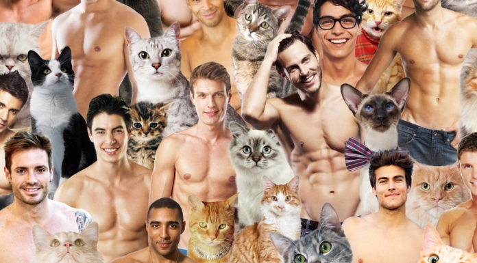 Hot dudes with kittens: tutti (tutte) pazzi per i gattini… e non solo Hot Dudes with kittens